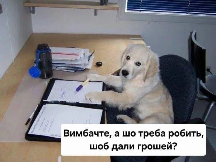 'Клята праця, як тебе працювати': українці зібрали найкращі меми для робочих чатів - 906732 'Клята праця, як тебе працювати': українці зібрали найкращі меми для робочих чатів - фото 906732