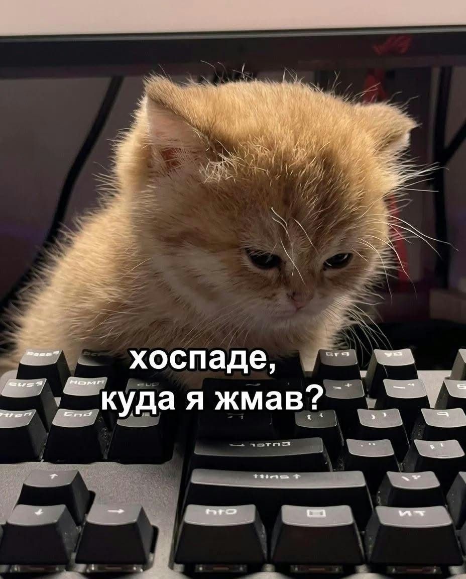 'Клята праця, як тебе працювати': українці зібрали найкращі меми для робочих чатів - 906743 'Клята праця, як тебе працювати': українці зібрали найкращі меми для робочих чатів - фото 906743