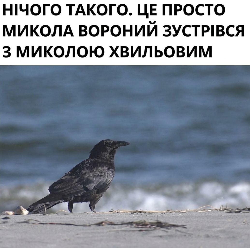 Литературные мемы, которые понравятся всем, кто не представляет своей жизни без книг - фото 906830