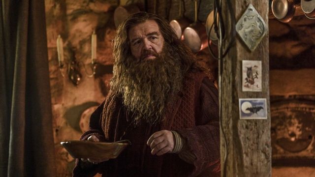 Кадр з серіалу 'Гаррі Поттер' - 907596 Кадр з серіалу 'Гаррі Поттер' - фото 907596