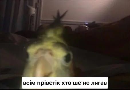 Меми про сон, якого нам усім так бракує - 908126 Меми про сон, якого нам усім так бракує - фото 908126