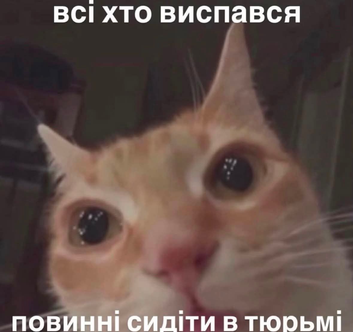 Меми про сон, якого нам усім так бракує - 908128 Меми про сон, якого нам усім так бракує - фото 908128