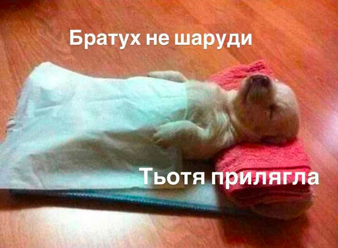 Меми про сон, якого нам усім так бракує - 908129 Меми про сон, якого нам усім так бракує - фото 908129