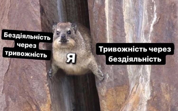 Магній має врятувати нас усіх: меми про тривожність, істерики та життєву дурку - 909192 Магній має врятувати нас усіх: меми про тривожність, істерики та життєву дурку - фото 909192