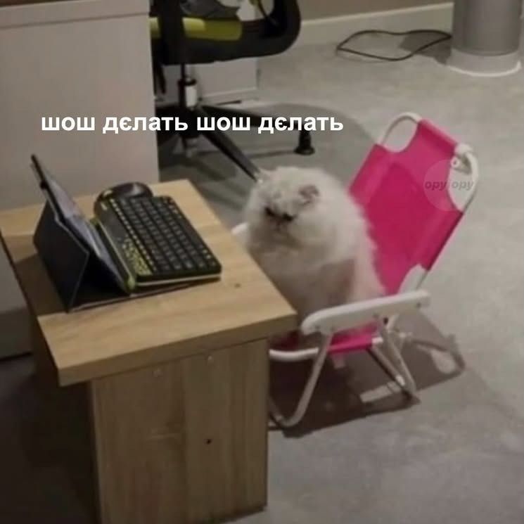 Магній має врятувати нас усіх: меми про тривожність, істерики та життєву дурку - 909193 Магній має врятувати нас усіх: меми про тривожність, істерики та життєву дурку - фото 909193