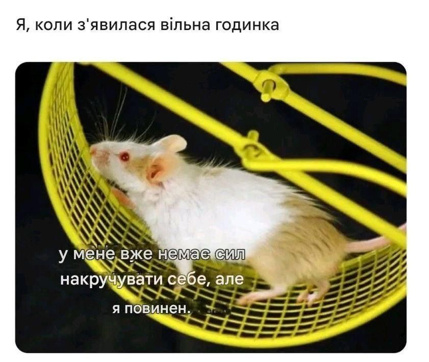 Магній має врятувати нас усіх: меми про тривожність, істерики та життєву дурку - 909196 Магній має врятувати нас усіх: меми про тривожність, істерики та життєву дурку - фото 909196