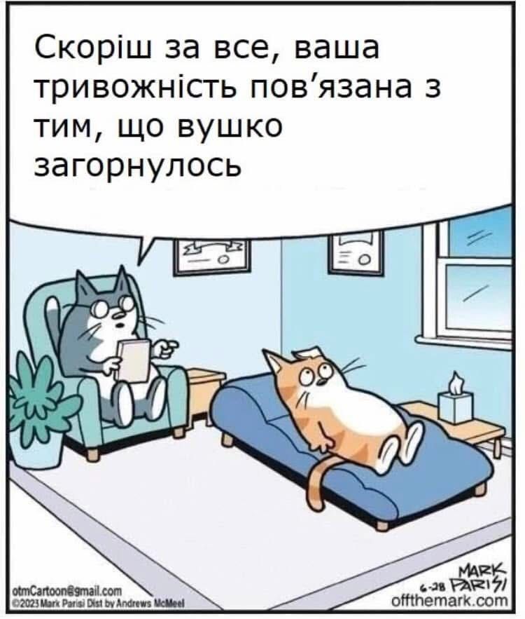 Магній має врятувати нас усіх: меми про тривожність, істерики та життєву дурку - 909197 Магній має врятувати нас усіх: меми про тривожність, істерики та життєву дурку - фото 909197