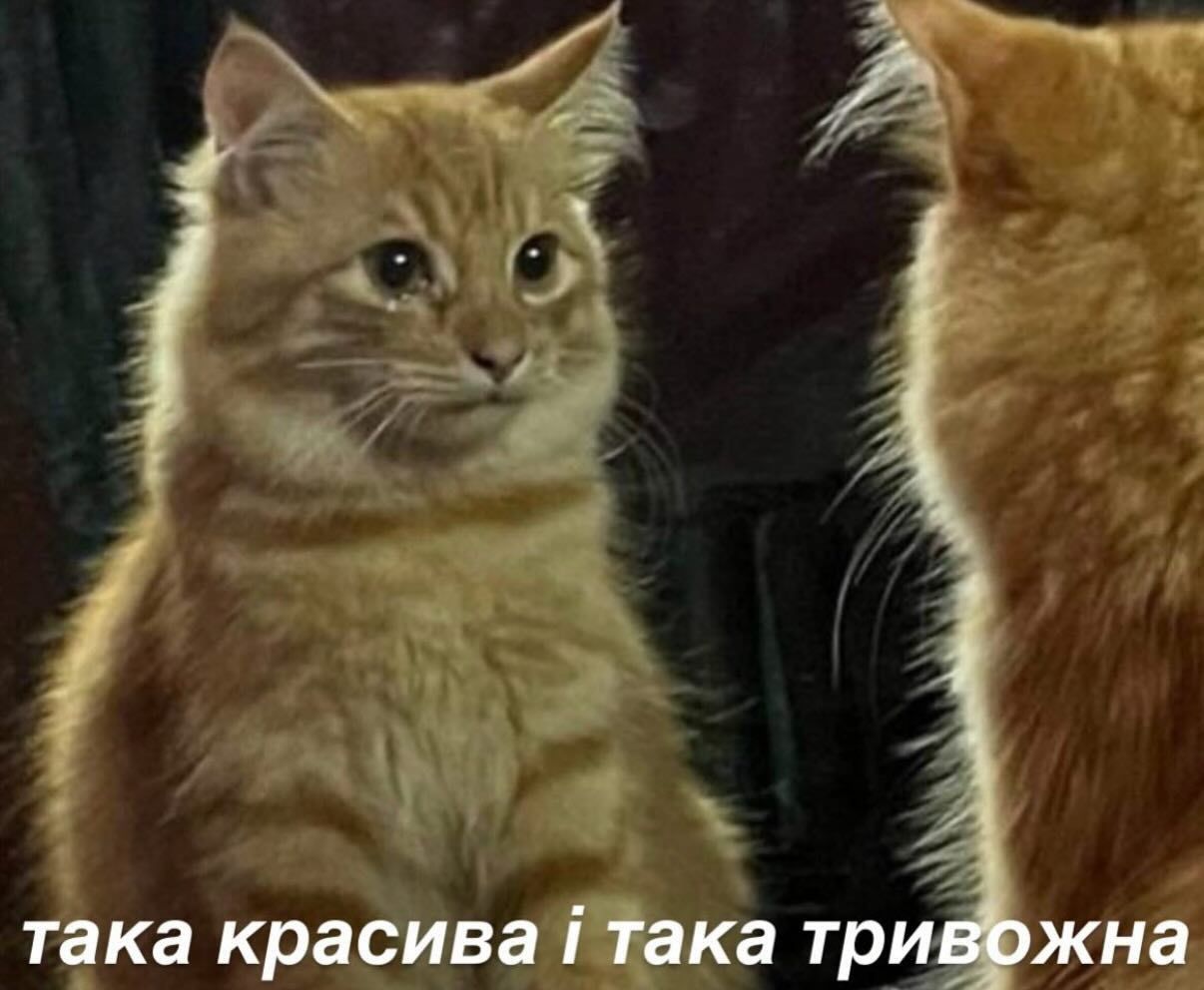 Магній має врятувати нас усіх: меми про тривожність, істерики та життєву дурку - 909198 Магній має врятувати нас усіх: меми про тривожність, істерики та життєву дурку - фото 909198