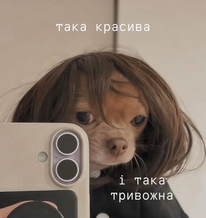 Магній має врятувати нас усіх: меми про тривожність, істерики та життєву дурку - 909200 Магній має врятувати нас усіх: меми про тривожність, істерики та життєву дурку - фото 909200