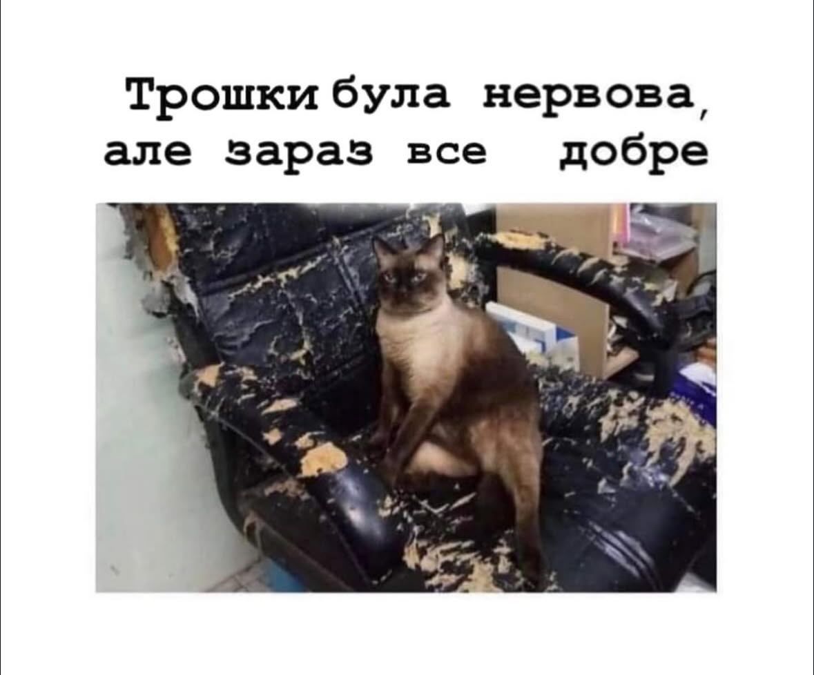 Магній має врятувати нас усіх: меми про тривожність, істерики та життєву дурку - 909201 Магній має врятувати нас усіх: меми про тривожність, істерики та життєву дурку - фото 909201