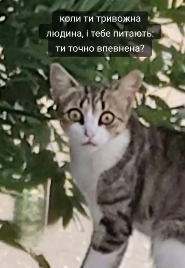 Магній має врятувати нас усіх: меми про тривожність, істерики та життєву дурку - 909203 Магній має врятувати нас усіх: меми про тривожність, істерики та життєву дурку - фото 909203