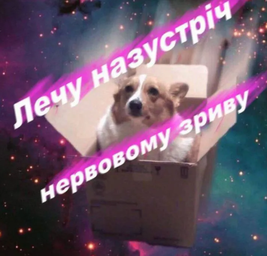 Магній має врятувати нас усіх: меми про тривожність, істерики та життєву дурку - 909206 Магній має врятувати нас усіх: меми про тривожність, істерики та життєву дурку - фото 909206