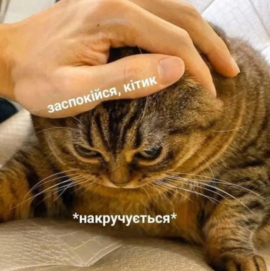 Магній має врятувати нас усіх: меми про тривожність, істерики та життєву дурку - 909207 Магній має врятувати нас усіх: меми про тривожність, істерики та життєву дурку - фото 909207