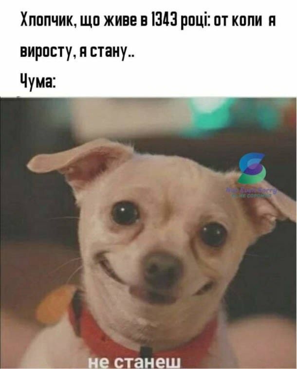 Інтелектуальні меми для тих, хто цінує тонкий гумор - 909742 Інтелектуальні меми для тих, хто цінує тонкий гумор - фото 909742