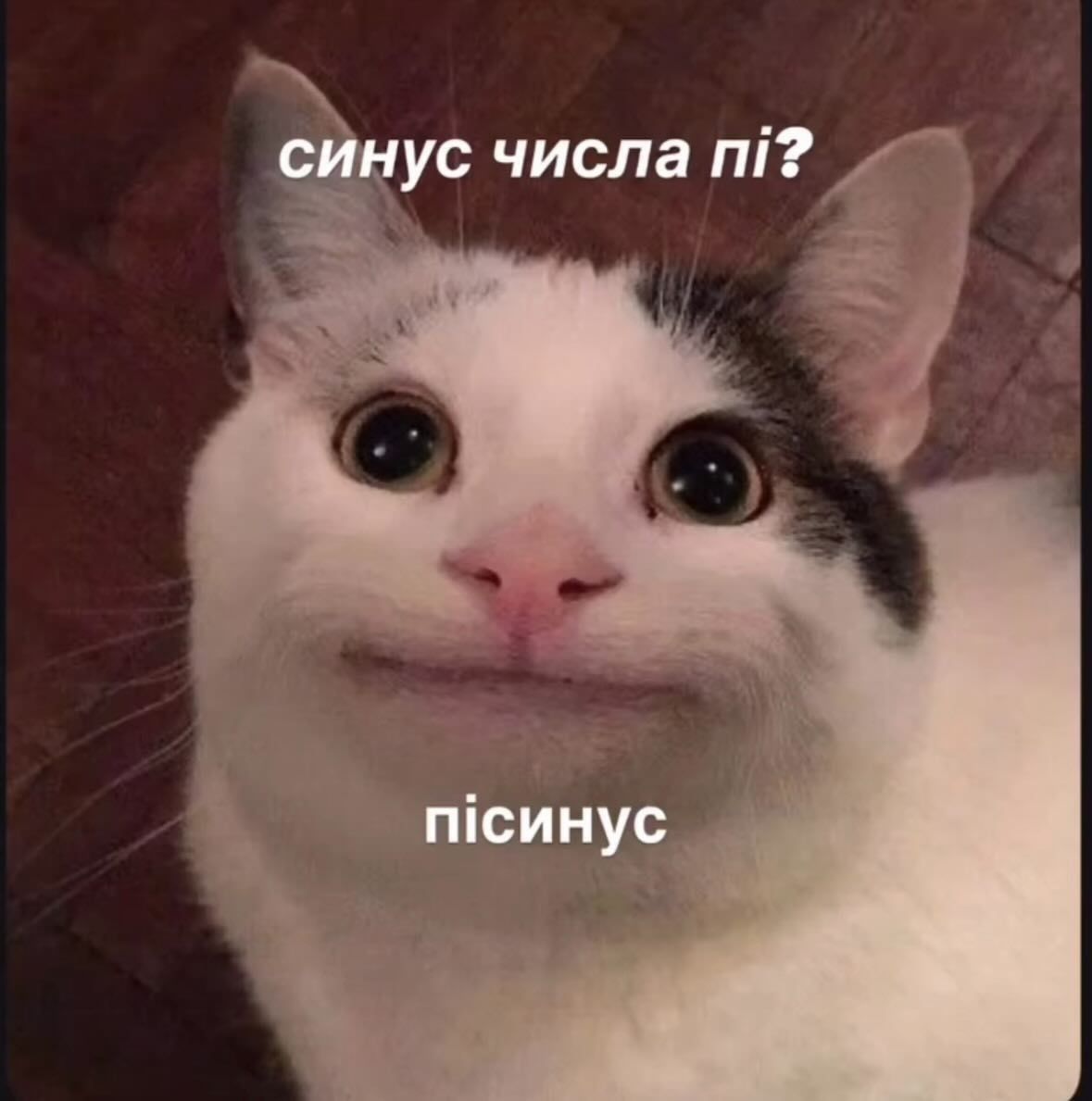Інтелектуальні меми для тих, хто цінує тонкий гумор - 909744 Інтелектуальні меми для тих, хто цінує тонкий гумор - фото 909744
