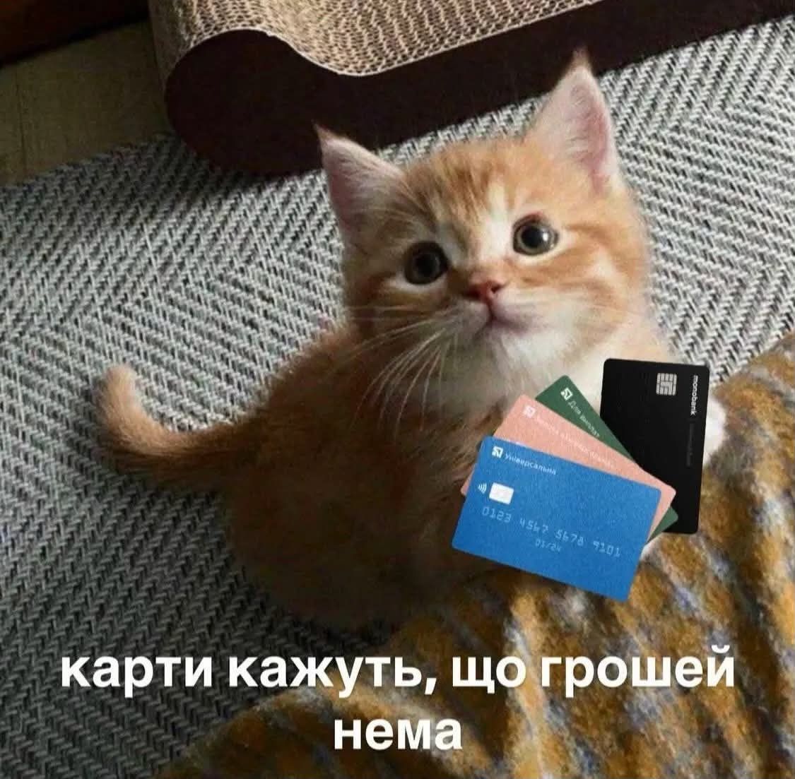 'Казна пустеет, милорд': мемы о деньгах и о том, как их просить, когда они закончились - фото 910659