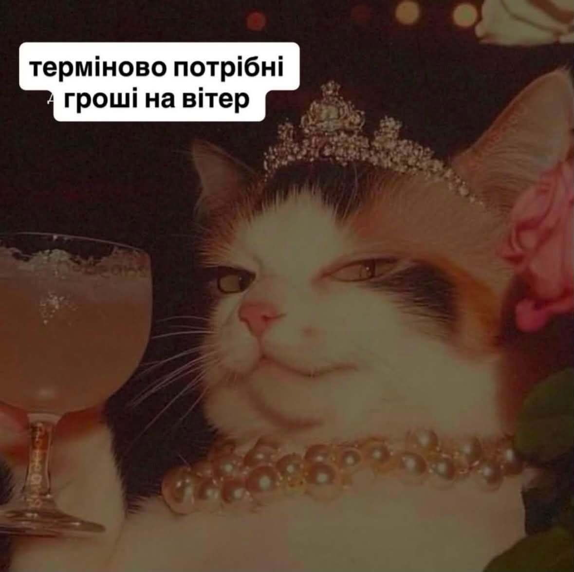 'Казна пустеет, милорд': мемы о деньгах и о том, как их просить, когда они закончились - фото 910662