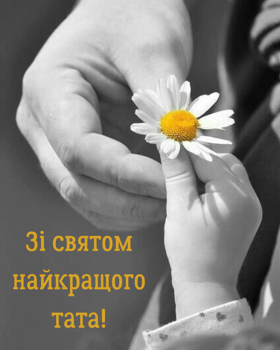слова любові та вдячності татові - 910872 слова любові та вдячності татові - фото 910872