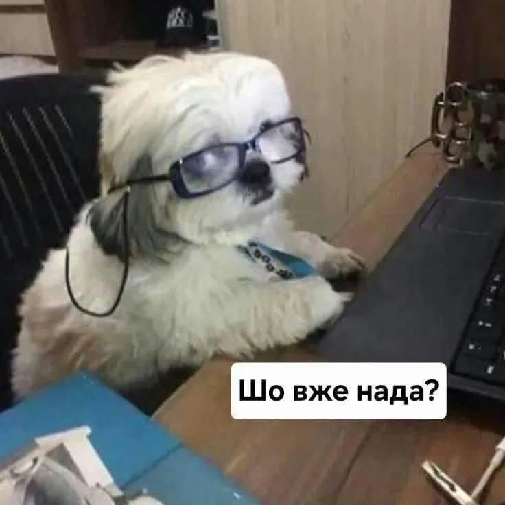 Меми про роботу, щоб скинути у чатик з колегами - 911852 Меми про роботу, щоб скинути у чатик з колегами - фото 911852