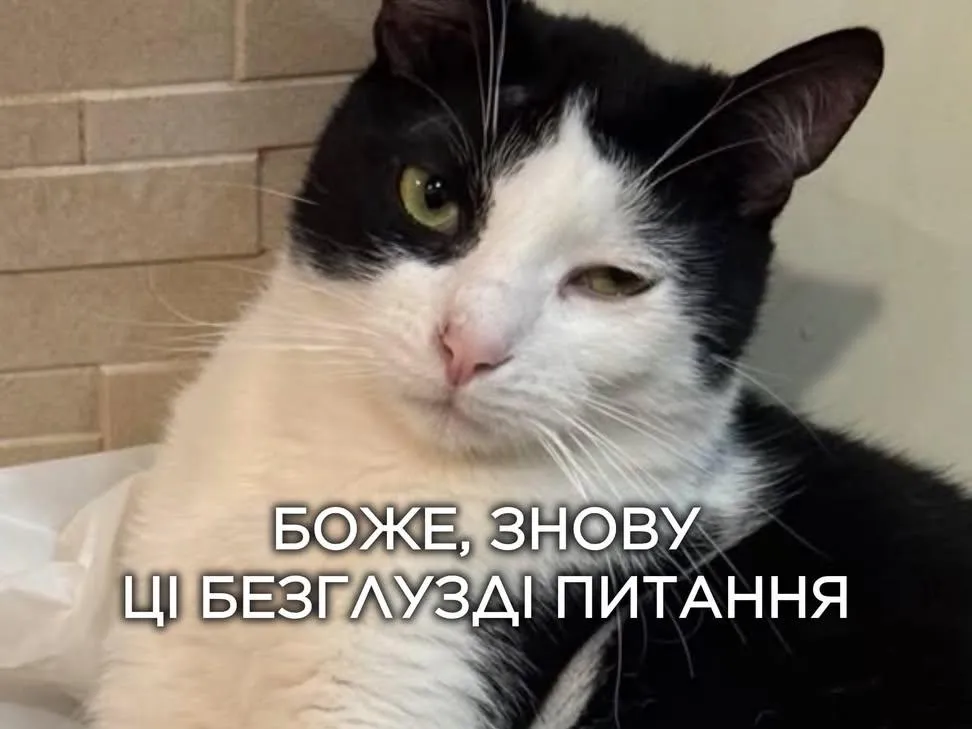 Меми про роботу, щоб скинути у чатик з колегами - 911864 Меми про роботу, щоб скинути у чатик з колегами - фото 911864