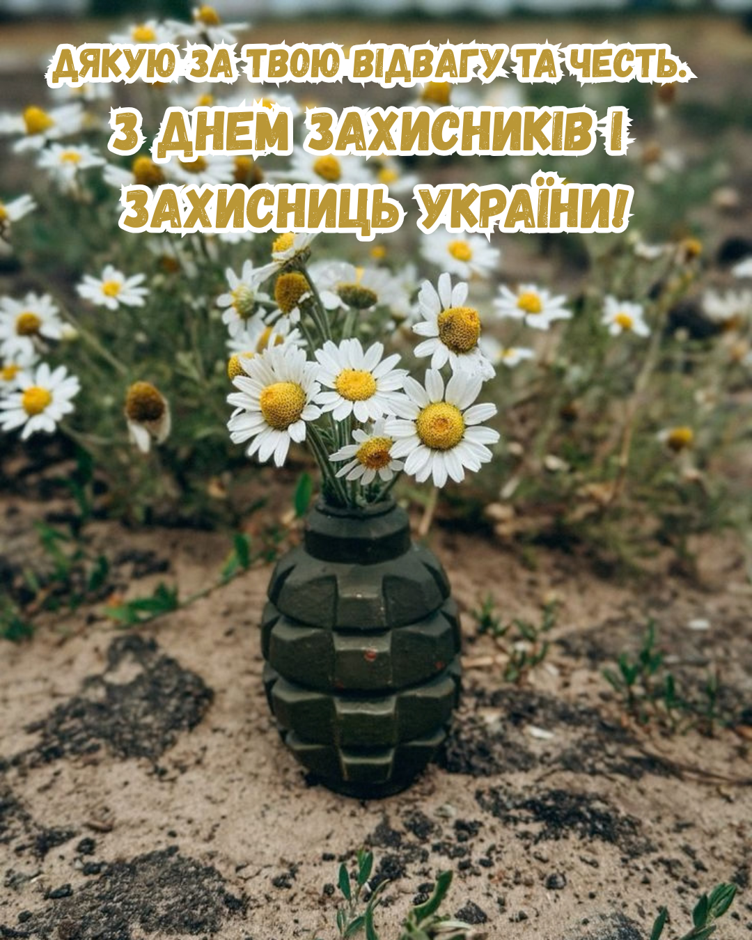 картинки з Днем захисників і захисниць 2026 - фото 913348
