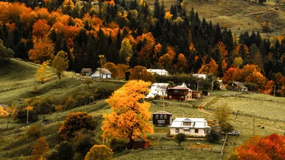 Український фотограф показав осінню красу Карпат - ці фото пахнуть теплом і затишком