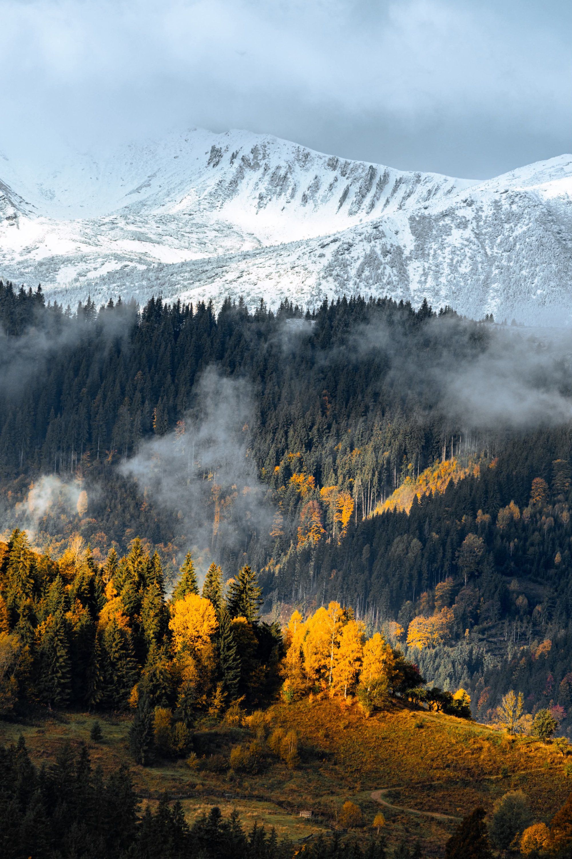 Український фотограф показав осінню красу Карпат - ці фото пахнуть теплом і затишком - фото 913695
