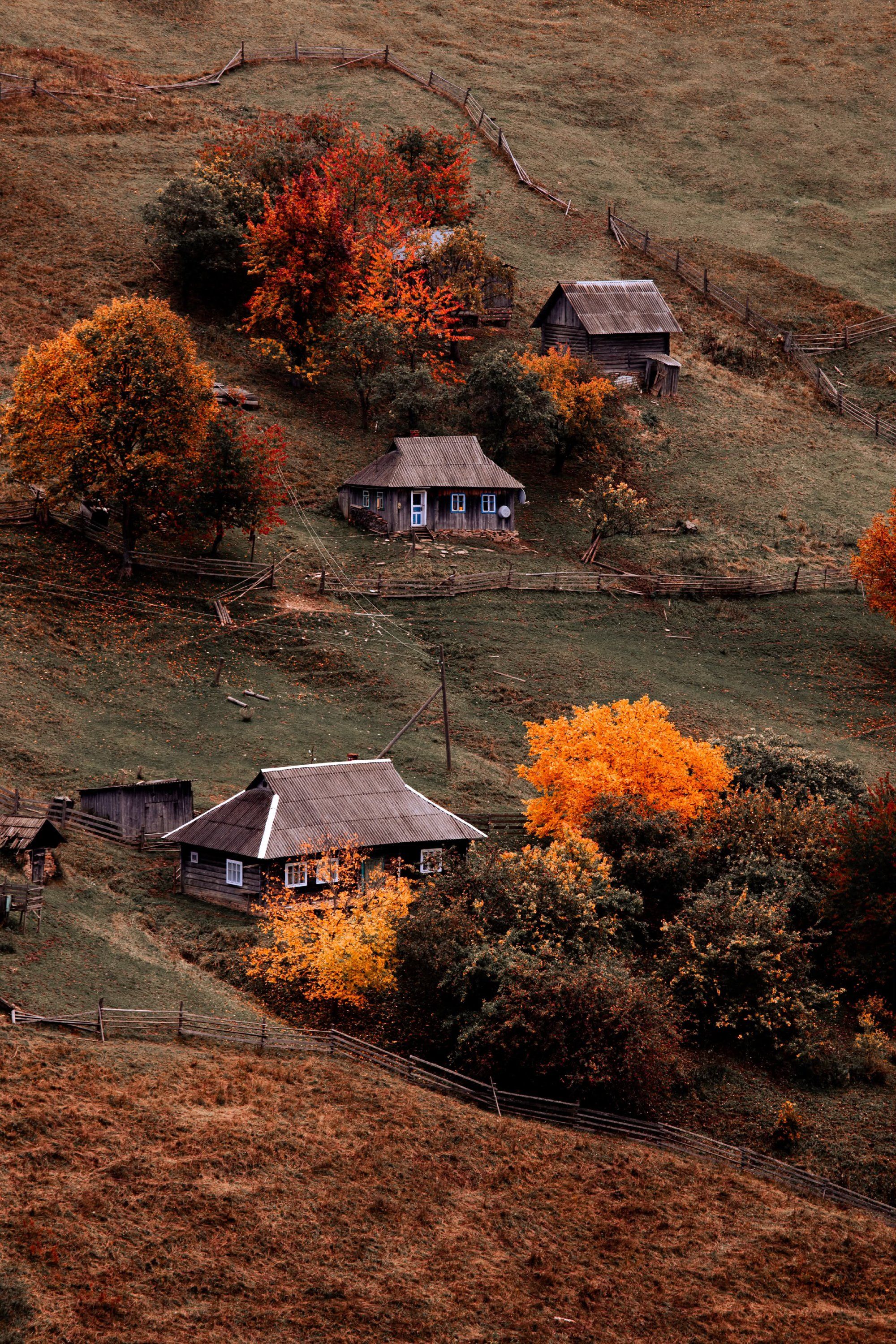 Український фотограф показав осінню красу Карпат - ці фото пахнуть теплом і затишком - фото 913698
