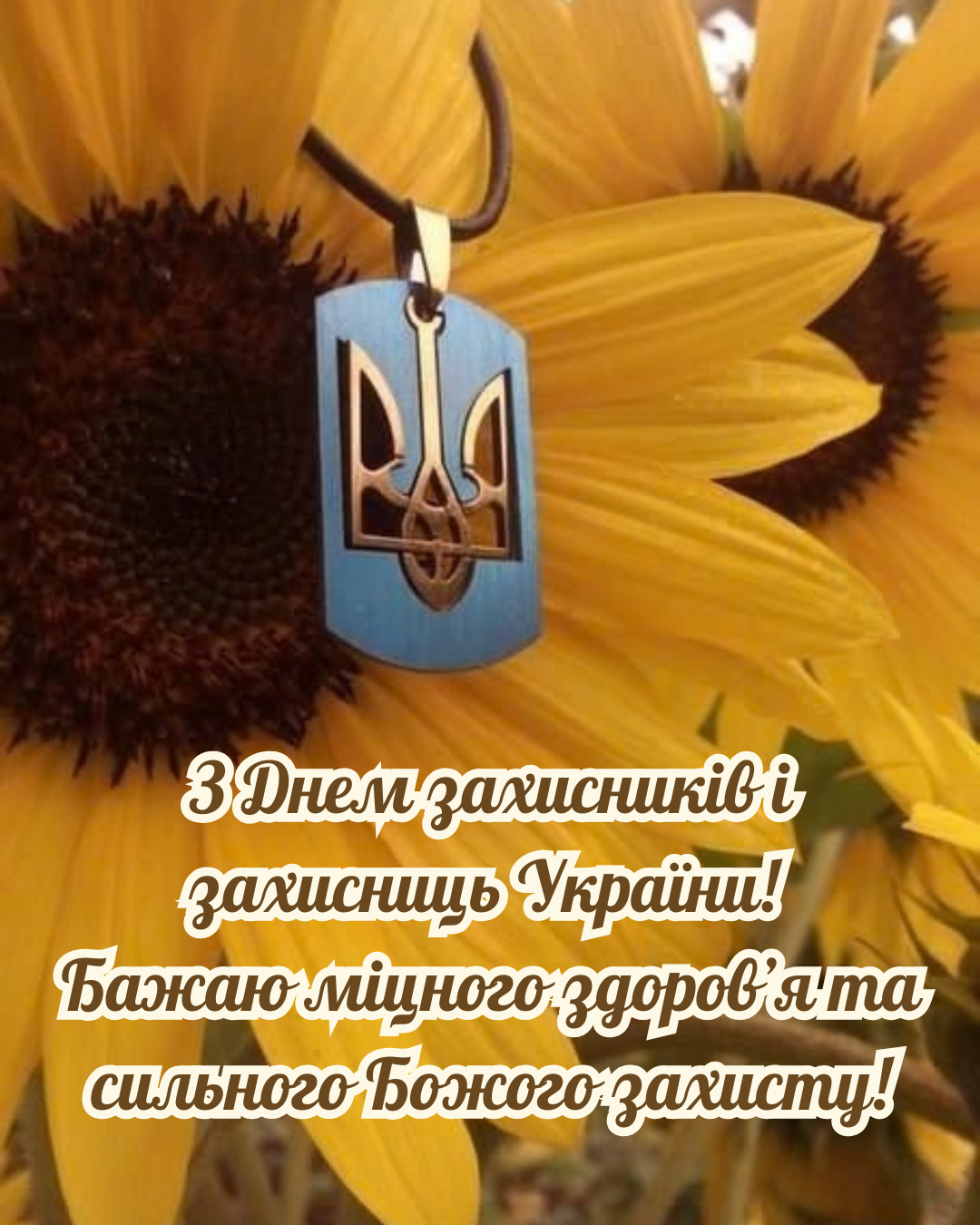 День захисників картинки для сторіс - фото 913959