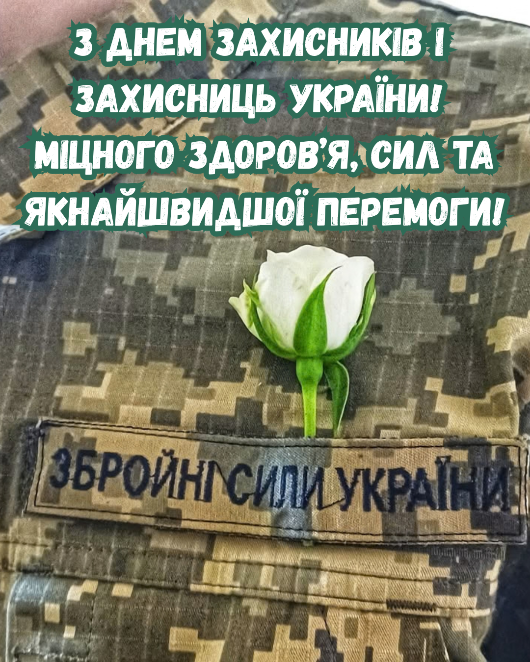 картинки з Днем захисників і захисниць 2026 - фото 913972