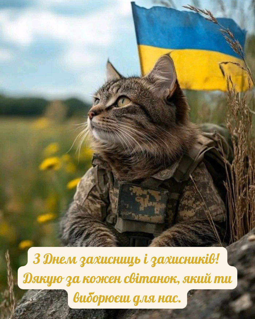 привітання захисникам і захисницям - фото 914013