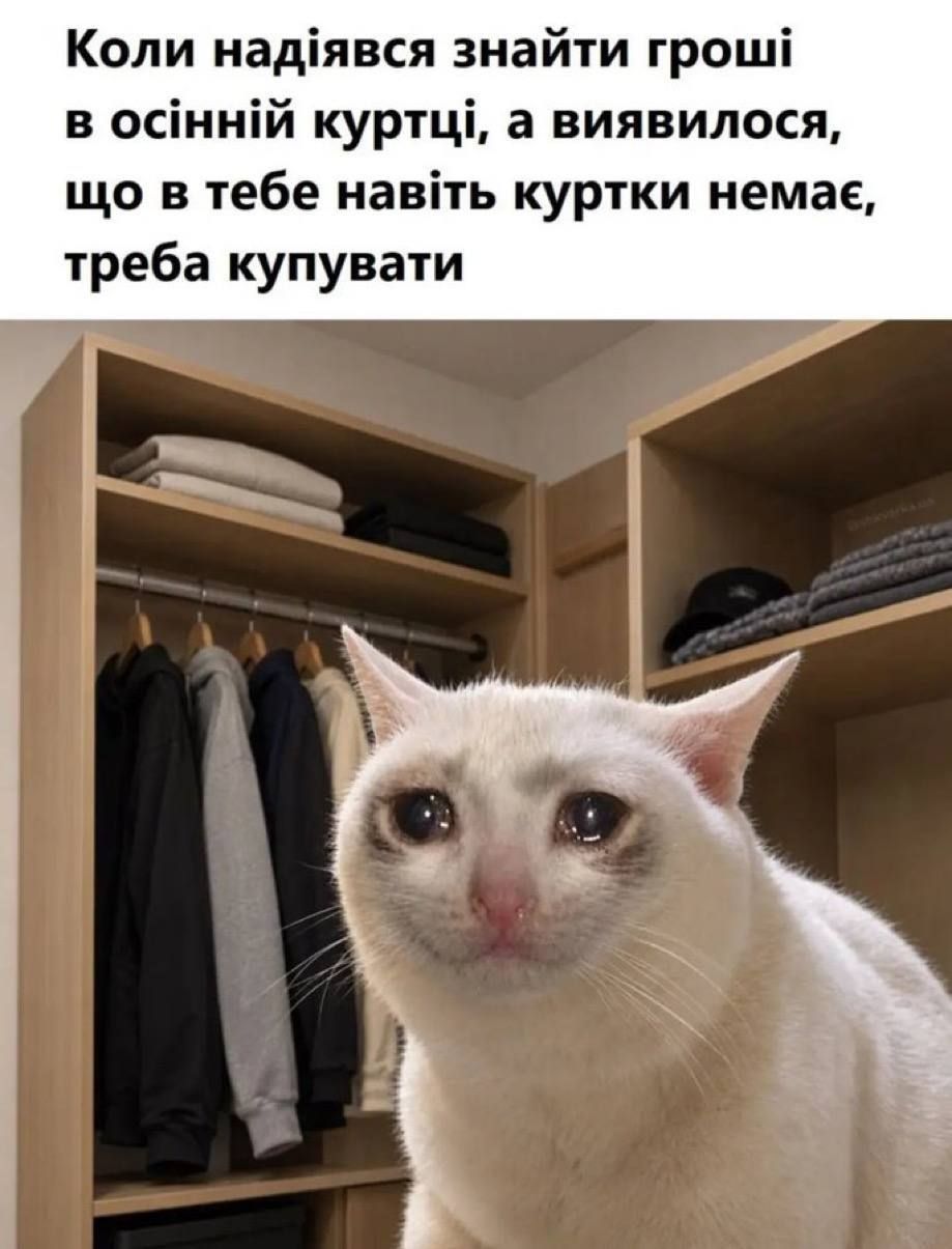 Життєві меми про осінь, холод і наш стан, щойно температура за вікном падає - 914060 Життєві меми про осінь, холод і наш стан, щойно температура за вікном падає - фото 914060