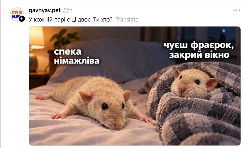 Життєві меми про осінь, холод і наш стан, щойно температура за вікном падає - 914066 Життєві меми про осінь, холод і наш стан, щойно температура за вікном падає - фото 914066