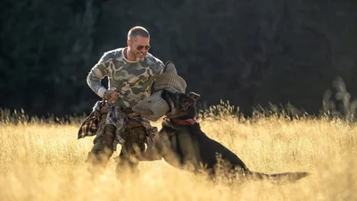 Повернення "Месників" та Бред Пітт у "Серці Звіра": які 5 нових фільмів вийшли в кіно з 24 вересня