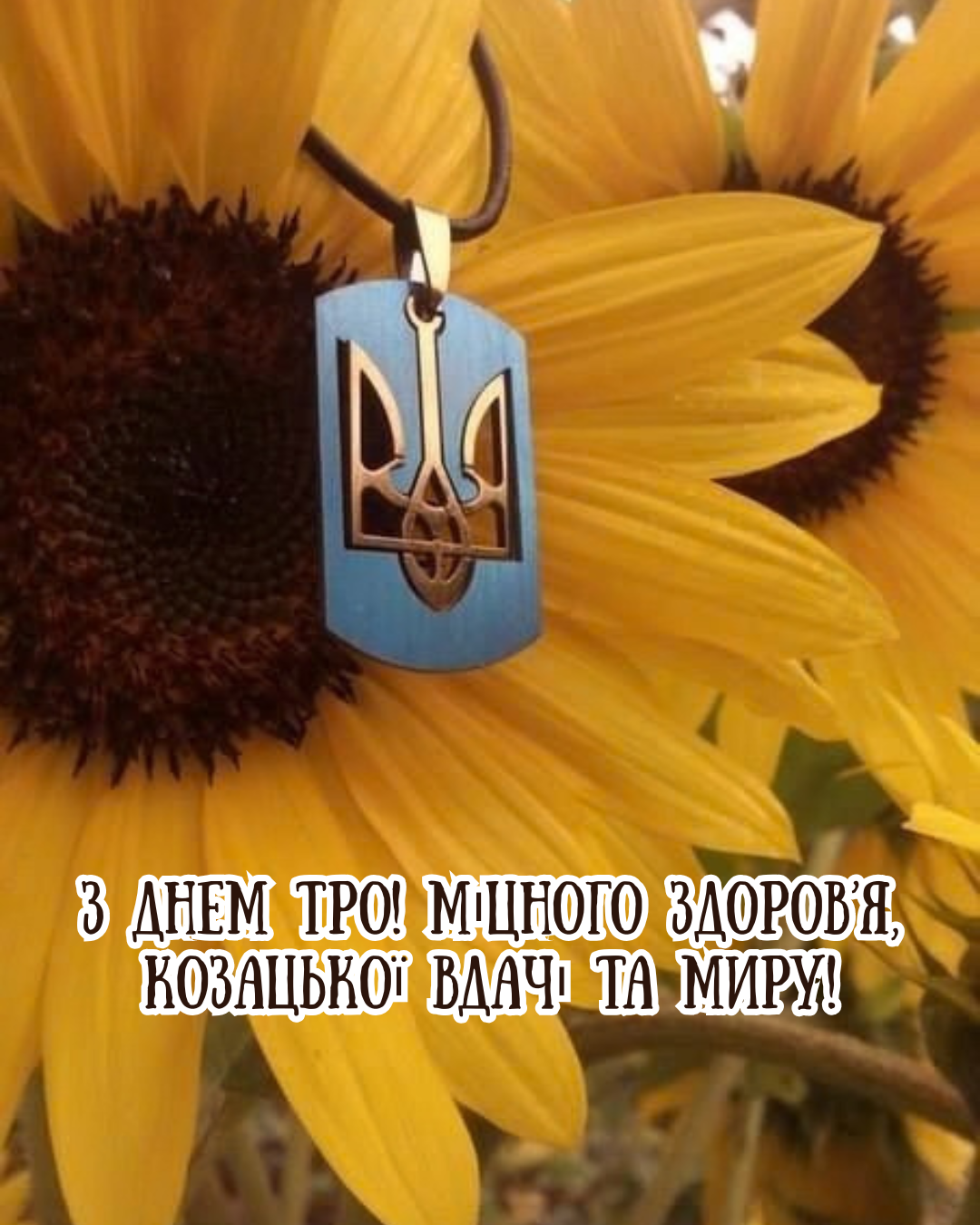листівки з Днем територіальної оборони України - фото 914521
