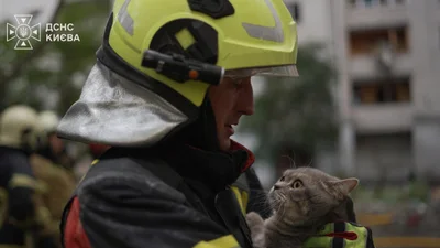 У Києві рятувальники врятували кота Марсіка з понівеченої після атаки квартири