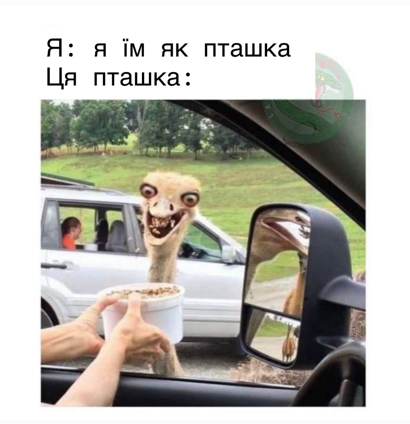 Меми для тих, хто втомився думати й хоче просто перестати депресувати - фото 914739