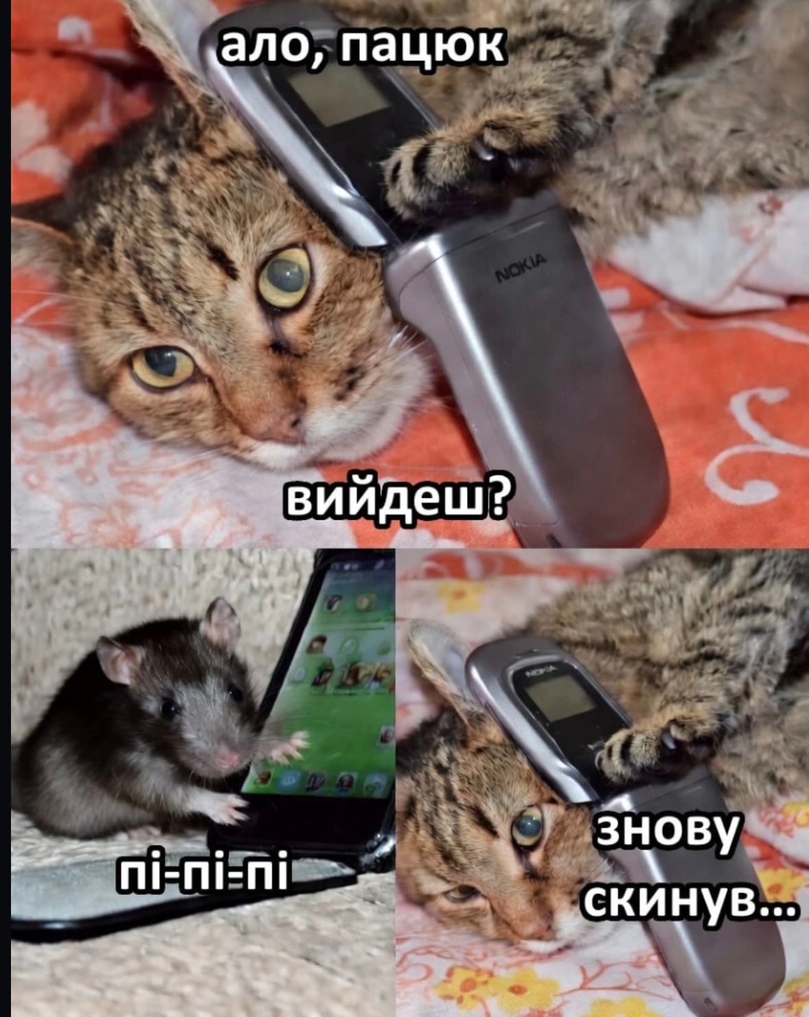 Меми для тих, хто втомився думати й хоче просто перестати депресувати - фото 914741