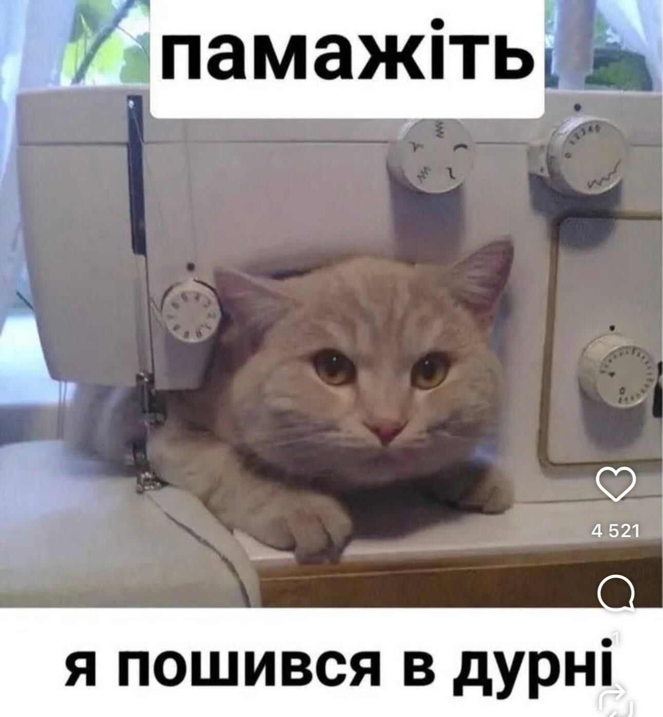 Меми для тих, хто втомився думати й хоче просто перестати депресувати - фото 914745