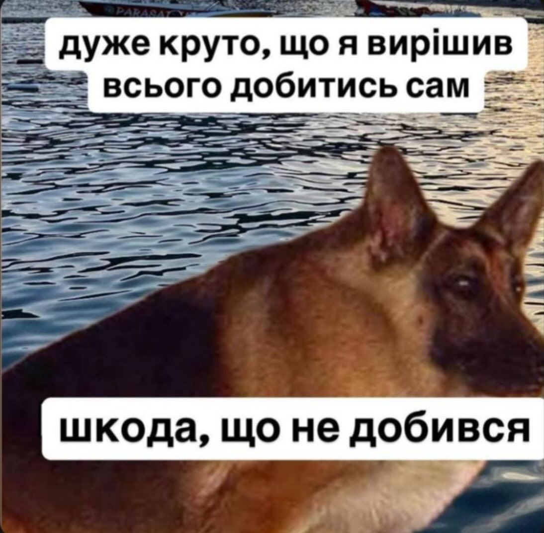 Меми для тих, хто втомився думати й хоче просто перестати депресувати - фото 914746