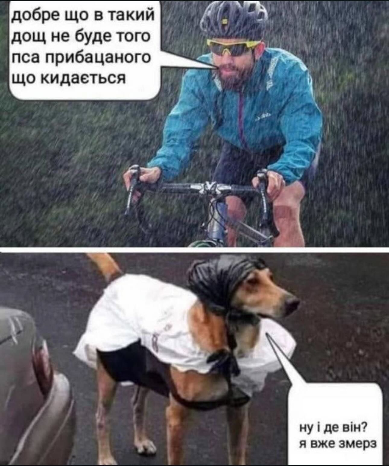 Меми для тих, хто втомився думати й хоче просто перестати депресувати - фото 914749