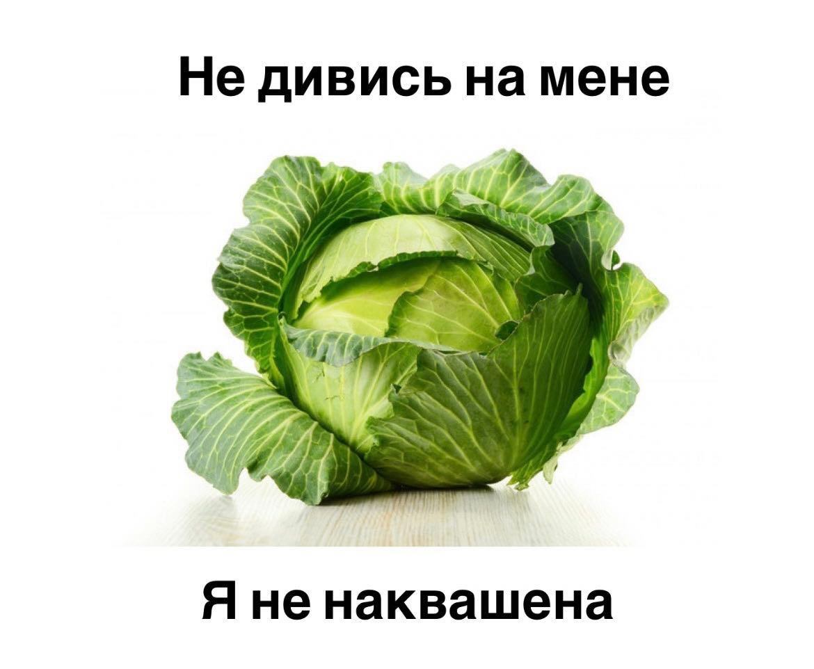 Меми для тих, хто втомився думати й хоче просто перестати депресувати - фото 914754