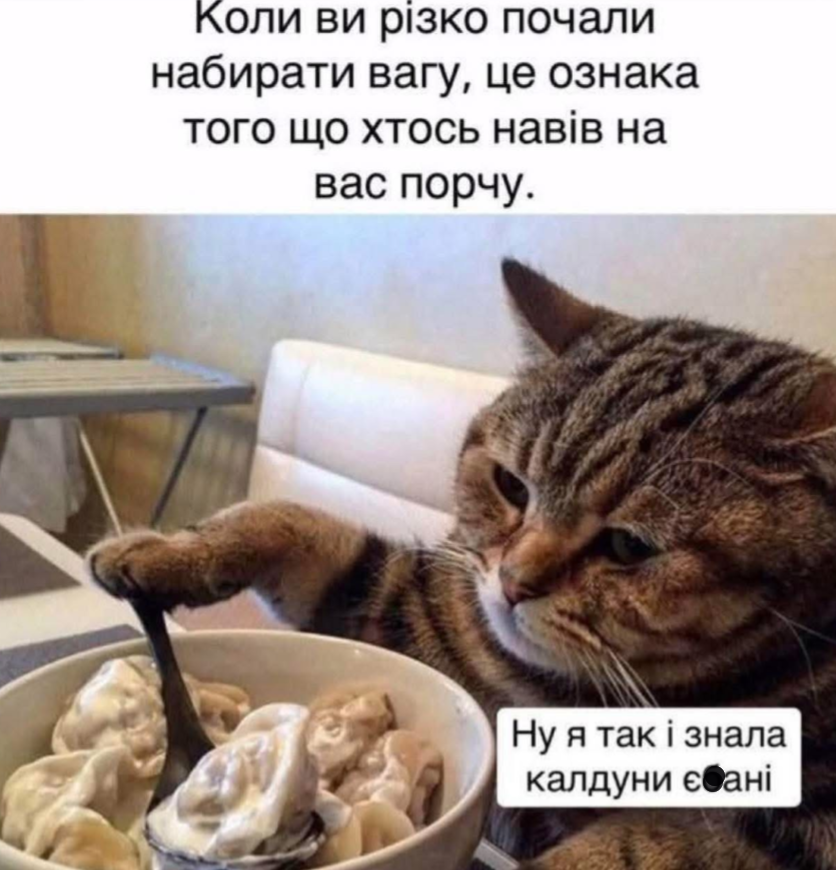 Меми для тих, хто втомився думати й хоче просто перестати депресувати - фото 914761