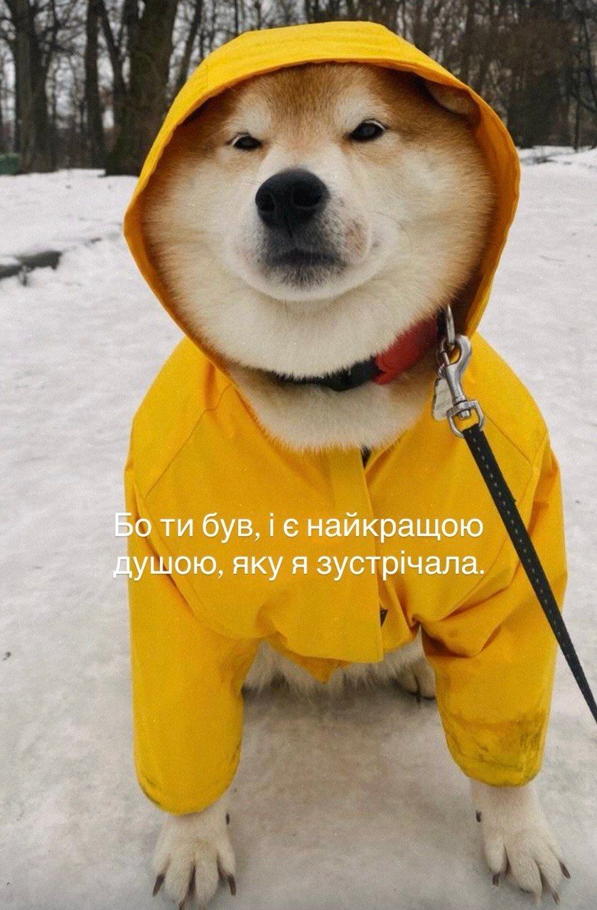 'Живу без части себя': Даша Астафьева о горе, которое изменило ее навсегда - 915029 'Живу без части себя': Даша Астафьева о горе, которое изменило ее навсегда - фото 915029