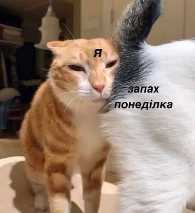 Меми про робочий тиждень, який так не хочеться починати - фото 915396
