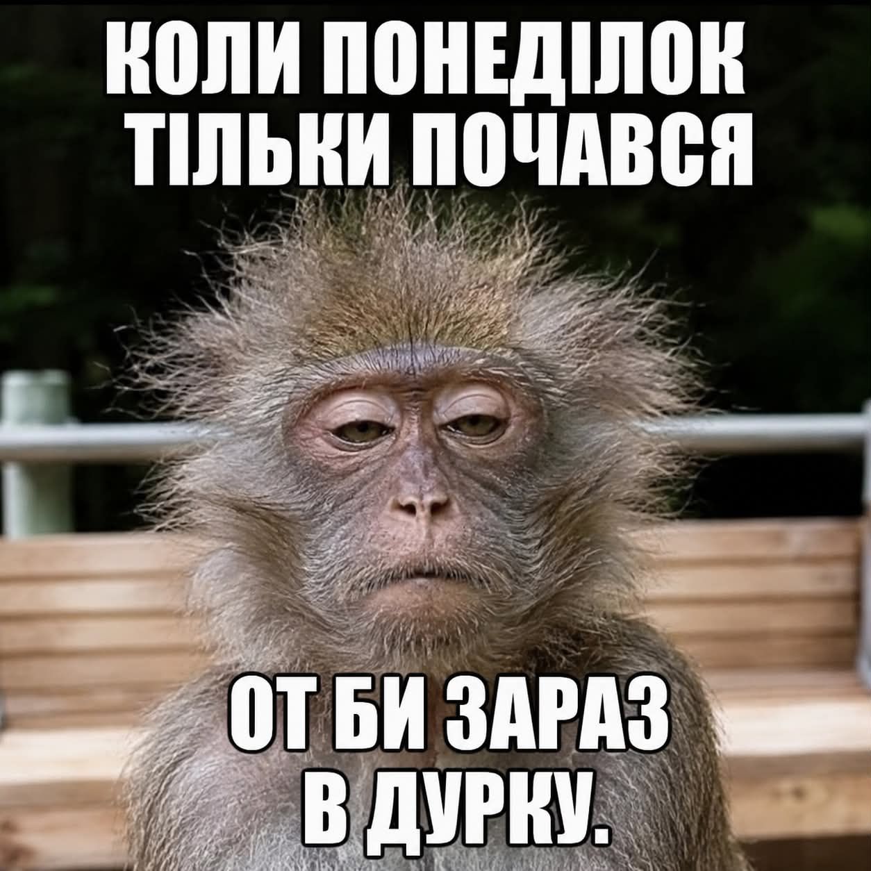 Меми про робочий тиждень, який так не хочеться починати - фото 915397