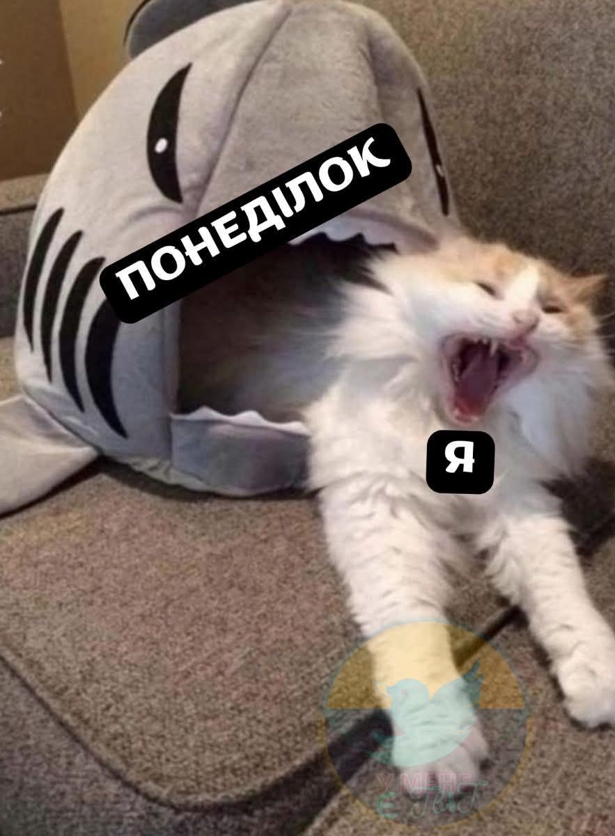 Меми про робочий тиждень, який так не хочеться починати - фото 915400