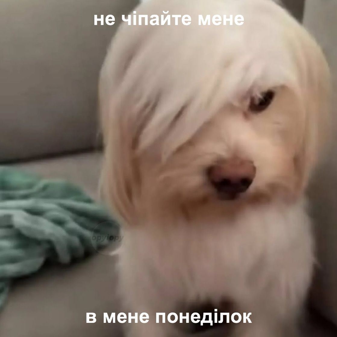 Меми про робочий тиждень, який так не хочеться починати - фото 915401