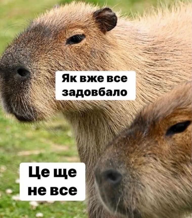 Тотальна дурка: кияни мемами передають свій настрій останніх тижнів - фото 915875
