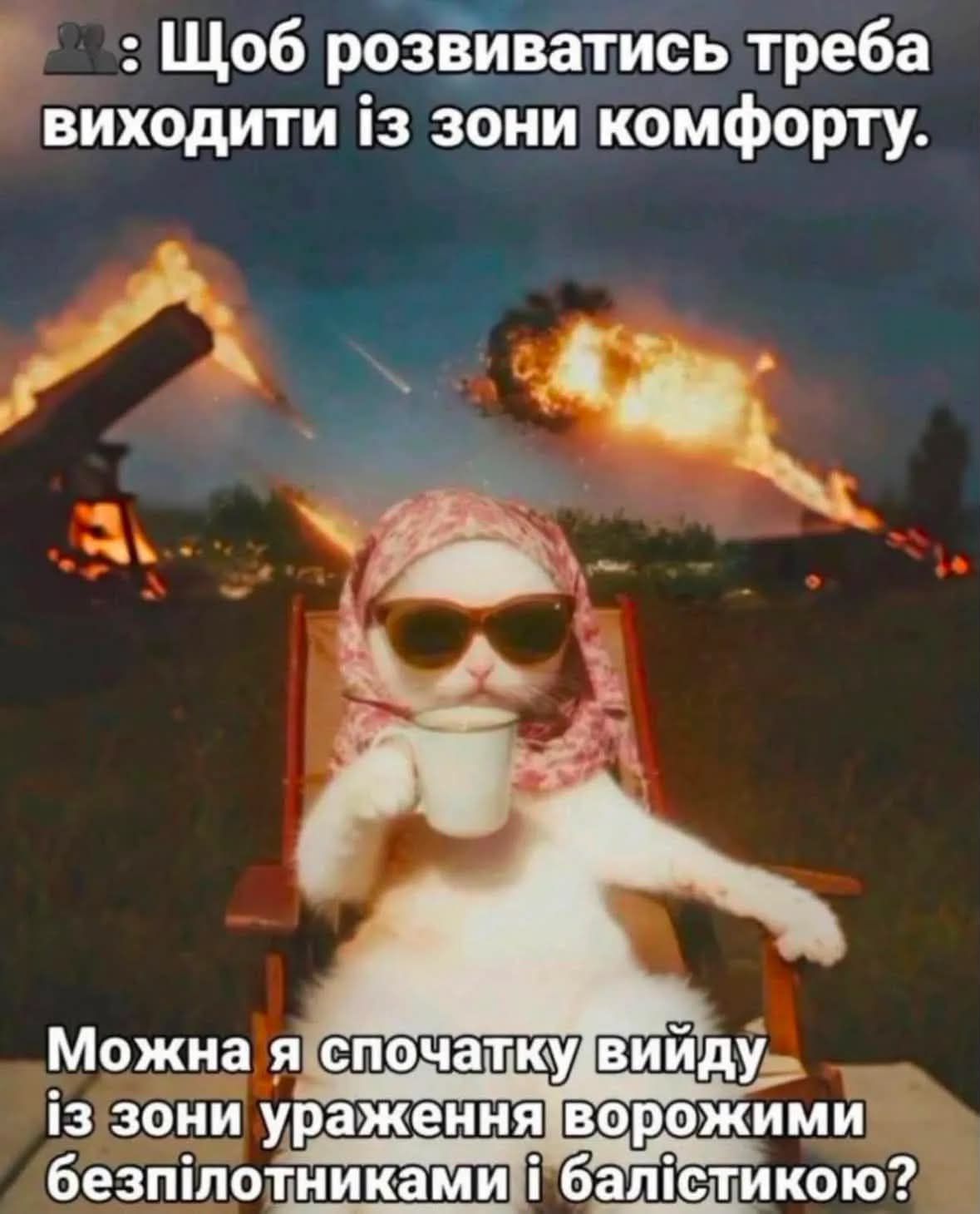 Тотальна дурка: кияни мемами передають свій настрій останніх тижнів - фото 915878